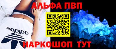 СК Моздок