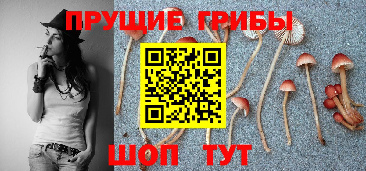 Рузаевка  Псилоцибиновые грибы Magic Shrooms  Вход с VPN 